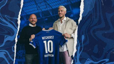 Wout Weghorst, Hoffenheim’da