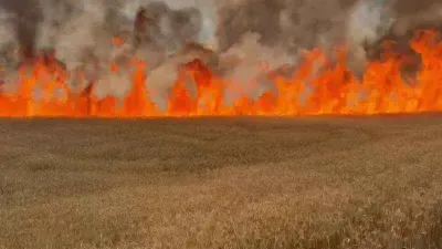 Sivas'ta 3 bin dönümlük buğday tarlası kül oldu