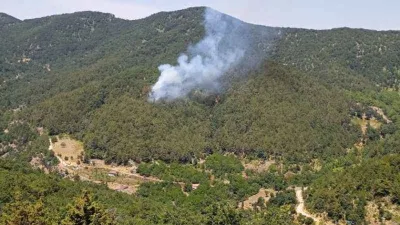 Hatay’da orman yangını
