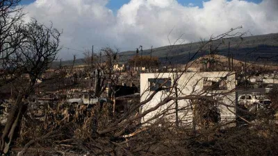 Hawaii’de can kaybı 96’ya yükseldi