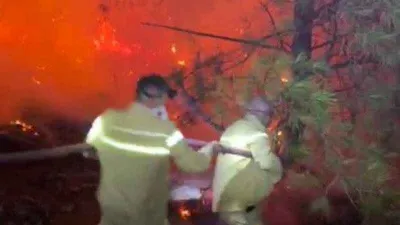 Kozan’da 5 ayrı noktada çıkan orman yangını kontrol altına alındı