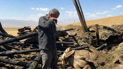 Yangında 7 ineğini kaybetti, hüngür hüngür ağladı