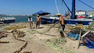 'Bu sene denizde mezgit ve hamsi var'