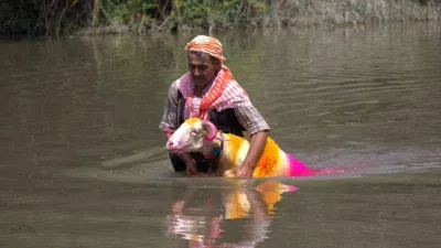 850 yıllık Sudan Koyun Geçirme Yarışması