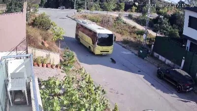 Tuzla’da özel halk otobüsü yolda yatan köpeği ezdi