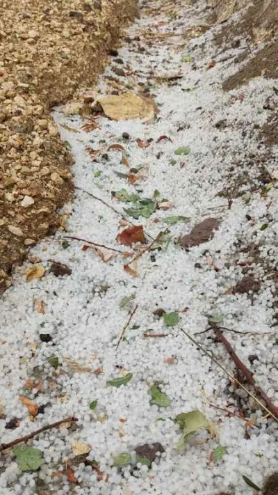 Tunceli’yi ağustos ayında dolu vurdu