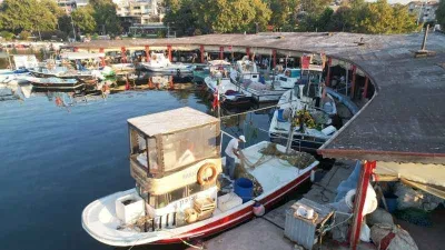 Yalova'da balıkçıklar hamsiden umutlu