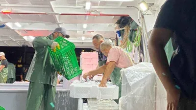 Av yasağı bitti, sezonun ilk balıkları avlandı