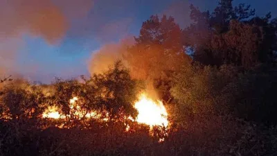 Hatay’da ağaçlık alan yangını söndürüldü