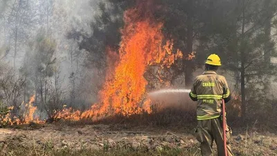 Texas’ta orman yangını: 4 bin 428 dönüm alan yandı