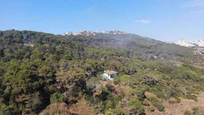 Başıbüyük Ormanı'nda çıkan yangın itfaiye ve helikopter müdahalesiyle söndürüldü