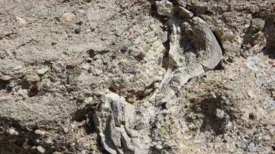 Sivas'ta bulundu, binlerce yıllık olduğu düşünülüyor