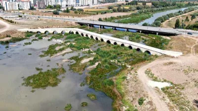 Kuraklık etkili oldu, Kızılırmak otluğa döndü