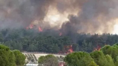 İzmir’deki orman yangını kontrol altında