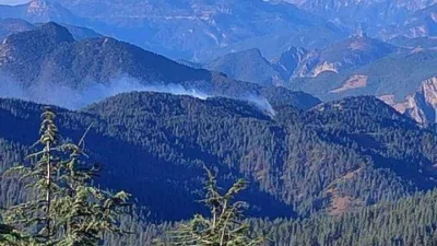 Adana Feke de orman yangını