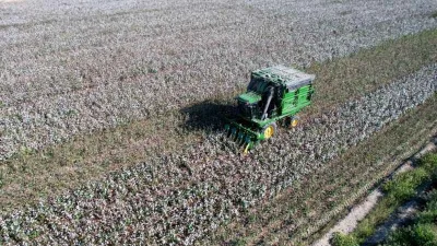 Adana’da pamuk hasadı başladı