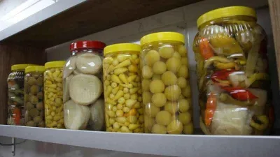 Probiyotik tek başına bağışıklık sistemini düzenleyemez