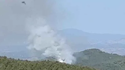 Kütahya'da orman yangını