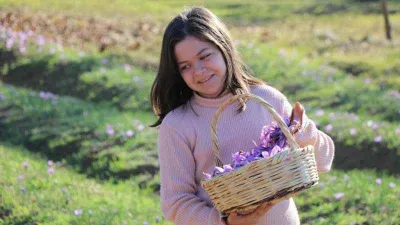 7. Safran Festivali 13-15 Ekim'de yapılacak