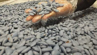 Mardin'in badem şekeri tezgahlarda eksik edilmiyor