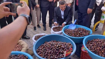 Sinop’ta Kestane Festivali: 1 ton kestane tüketildi