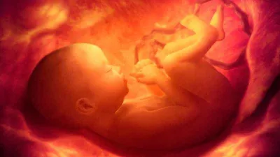 Anne karnındaki bebeğin gelişim anomalilerini saptayacak tarama testi projesine destek