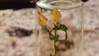 Kütahya'nın İğne Oyası'na tescil müjdesi