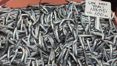 Fırtına hamsi fiyatlarını vurdu