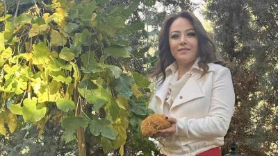 Meyan kökü pek çok derdin şifası