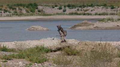 Su kıtlığına yapay zekalı önlem