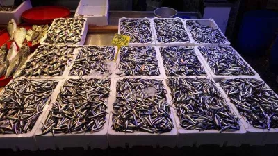 Fırtına hamsi fiyatlarını da uçurdu