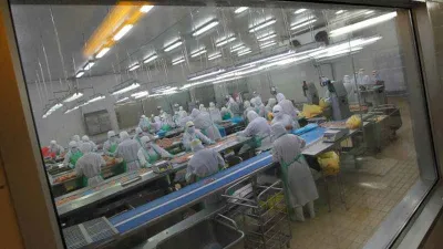 Japonya’da 72 bin kümes hayvanı itlaf edilecek