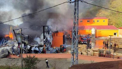 Balık fabrikasında yangın