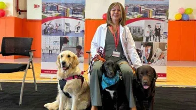 Özel eğitimli köpekler hastalara terapide yardımcı oluyor