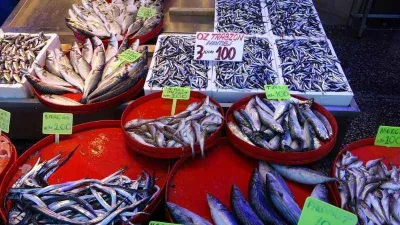 Karadeniz’de son 25 yılın en bereketli günü