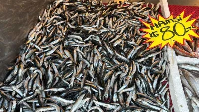 Tezgahlarda balık azalmaya başladı