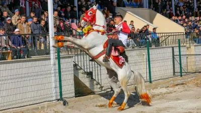 Depremzedelere Özel Cirit Gösterisi