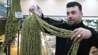 Kansere bile çare, fiyatı altınla yarışıyor