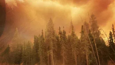 Kanada'da orman yangınları kontrolden çıktı