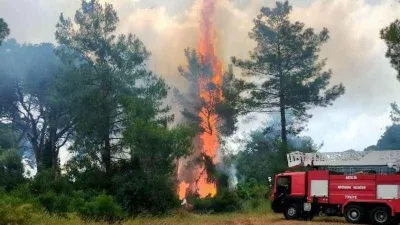 Orman yangını kontrol altına alındı