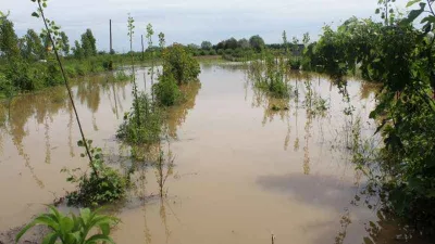 Çarşamba'yı sel aldı