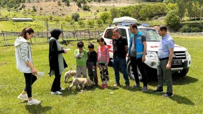 Doğaya çıkınca kenelere dikkat!