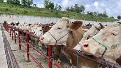 Kurban öncesi hastalıklara karşı uyarı