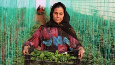 Tarım-GFE yıllık yüzde 40,20 arttı