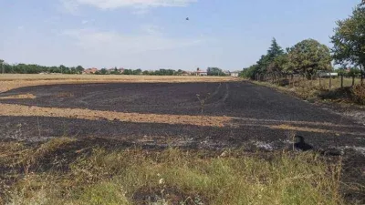 Buğday tarlasında yangın: 12 dönüme yakın alan küle döndü