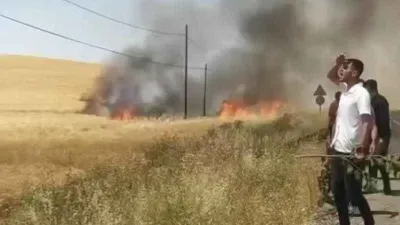 Kozluk'ta 100 dönüm buğday tarlası küle döndü