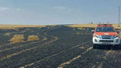 Tekirdağ’da 15 dönüm buğday alevlere teslim oldu