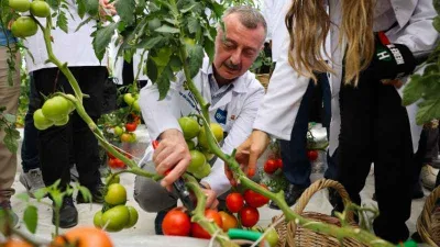 Tarımda ilk olan sistemde hasat heyecanı