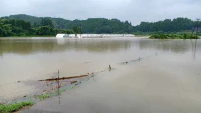 Japonya’da toprak kayması: 1 ölü