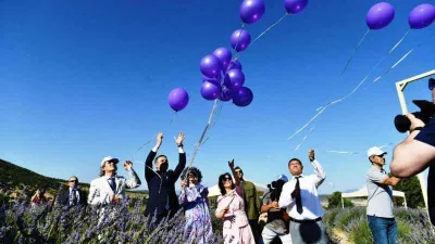 Isparta’da lavanta festivali başladı